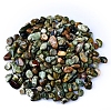 Natural Rhyolite Jasper Tumbled Chips PW-WGA7DCE-31-1