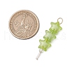 Acrylic & Glass Pendants PALLOY-JF03523-5