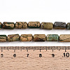 Natural Verdite Stone Beads Strands G-N346-01B-06-5