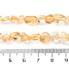 Natural Citrine Beads Strands G-P497-01C-39-5