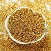 Glass Seed Beads X1-SEED-S042-04A-12-2
