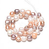 Natural Cultured Freshwater Pearl Beads Strands PEAR-N014-09A-3