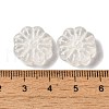 Transparent Lampwork Beads LAMP-P065-03A-02-3
