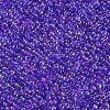 11/0 Grade A Round Glass Seed Beads SEED-N001-E-445-2