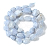 Natural Blue Lace Agate Beads Strands G-G117-B07-02-3