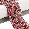 Natural Red Quartz Beads Strands G-H042-A48-02-2