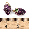 Brass Enamel Charms KK-L231-21G-06-3