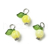 Acrylic Pendants PALLOY-JF02614-01-5