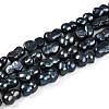Natural Nucleated Baroque Keshi Pearl Beads Strands PEAR-S020-F13-01-2