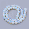 Opalite Beads Strands X-G-S259-48-12mm-2