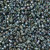 MIYUKI Round Rocailles Beads X-SEED-G007-RR1021-3