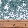 MIYUKI Delica Beads SEED-X0054-DB2131-4