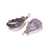 Natural Amethyst Pendants G-F763-03RG-06-2