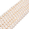 Natural Cultured Freshwater Pearl Beads Strands PEAR-E016-197-1