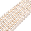 Natural Cultured Freshwater Pearl Beads Strands PEAR-E016-197-1