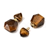 Natural Mixed Stone Perfume Bottle Pendants G-L623-12G-3