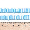 Dyed Natural Selenite Beads Strands G-T138-234D-4