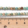 Dyed Natural Regalite/Imperial Jasper/Sea Sediment Jasper Beads Strands G-B124-C05-06-2