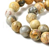Natural Crazy Lace Agate Round Bead Strands G-M272-03-10mm-5