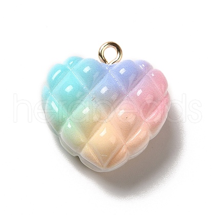 Rainbow Color Opaque Resin Pendants X-RESI-F035-01-1