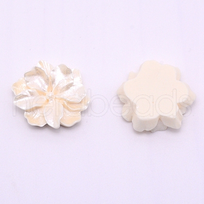 Opaque Resin Cabochon RESI-CJC0003-18A-1