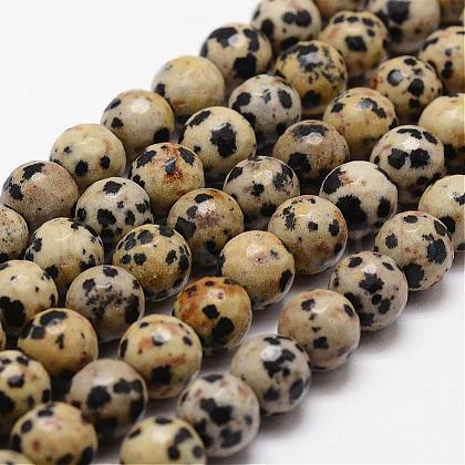Natural Dalmatian Jasper Beads Strands G-D840-49-8mm-1