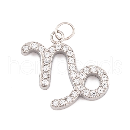 316 Stainless Steel Micro Pave Cubic Zirconia Pendants STAS-K284-01E-P-1
