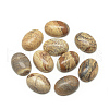 Natural Picture Jasper Cabochons X-G-R415-13x18-42-1