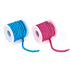  2 Rolls 2 Colors Polyester Milan Cord OCOR-TA0001-82-1