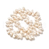 Natural Cultured Freshwater Pearl Beads Strands PEAR-I007-03E-02A-3