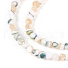 Luminous Natural Seashell Shell Beads Strands SSHEL-N040-05-3