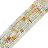 GOMAKERER 5 Strands Natural Flower Amazonite Beads Strands G-GO0001-54-1