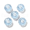 Transparent Resin European Beads RESI-B020-05D-1