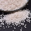 MIYUKI Delica Beads SEED-X0054-DB1490-1