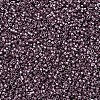 MIYUKI Delica Beads X-SEED-J020-DB0462-3