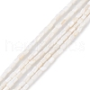 Natural Freshwater Shell Dyed Beads Strands SHEL-M018-12-12-2