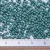 MIYUKI Round Rocailles Beads SEED-JP0008-RR1075-4