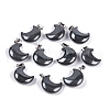 Natural Black Stone Pendants G-Q172-06A-P-1