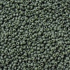 MIYUKI Round Rocailles Beads SEED-G007-RR0501-3