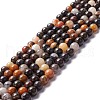 Natural Brecciated Jasper Beads Strands X-G-M381-01B-1