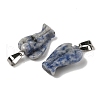Natural Blue Spot Jasper Pendants G-B127-10P-02-3