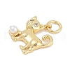 Rack Plating Brass Pendants KK-Q028-58G-2