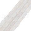 Electroplate Frosted Glass Beads Strands EGLA-T008-026-A01-2