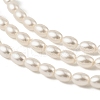 Electroplated Shell Pearl Beads Strands BSHE-Z009-10C-3