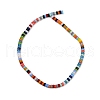 Handmade Lampwork Beads Strands LAMP-S070-10-2