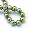 Baking Painted Pearlized Glass Pearl Round Bead Strands X-HY-Q003-10mm-49-4