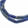 Natural Sodalite Beads Strands G-F631-D16-3