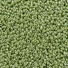 MIYUKI Round Rocailles Beads SEED-X0054-RR0439-2