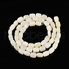 Natural White African Opal Beads Strands G-N346-04A-10-4