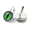 Dragon Eye Glass Leverback Earrings with Brass Earring Pins EJEW-Q798-01R-2